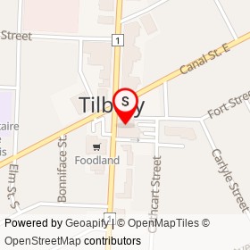 The Beer Store on Queen Street South, Tilbury Ontario - location map