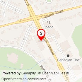 Cameo Hair Salon on Dougall Avenue, Windsor Ontario - location map