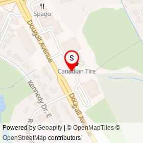 Canadian Tire on Dougall Avenue, Windsor Ontario - location map
