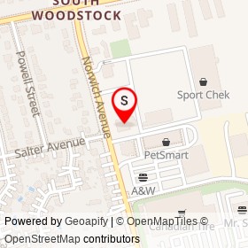 Swiss Chalet on Norwich Avenue, Woodstock Ontario - location map