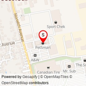 PetSmart on Montclair Drive, Woodstock Ontario - location map
