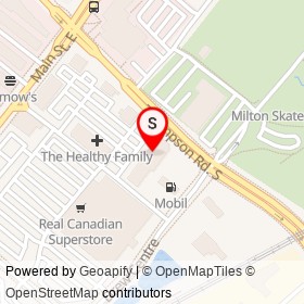 Pet Valu on Main Street East, Milton Ontario - location map