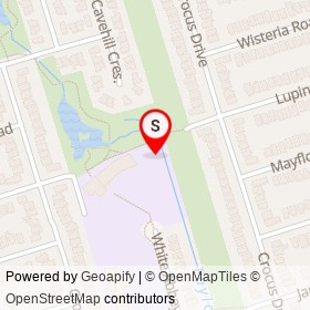 No Name Provided on Lupin Drive, Toronto Ontario - location map