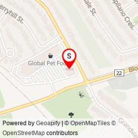 Domino's on Grandview Street South, Oshawa Ontario - location map