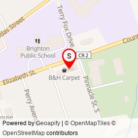 Brighton Paint & Blinds on Elizabeth Street, Brighton Ontario - location map