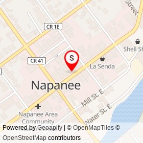 Pet Panache on Dundas Street East, Napanee Ontario - location map