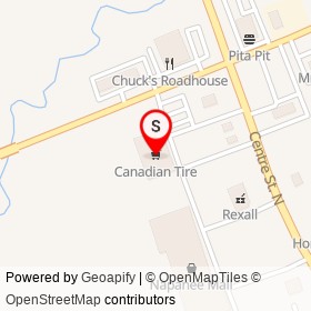 Canadian Tire on Centre Street North, Napanee Ontario - location map