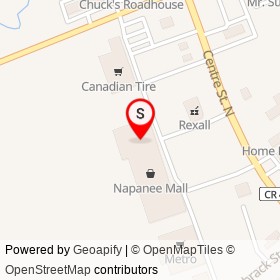 No Frills on Centre Street North, Napanee Ontario - location map